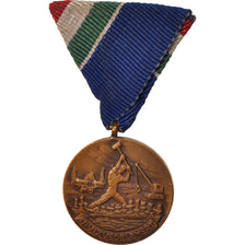 France, Protection against raw medal, Medal, Very Good Quality, Bronze, 33