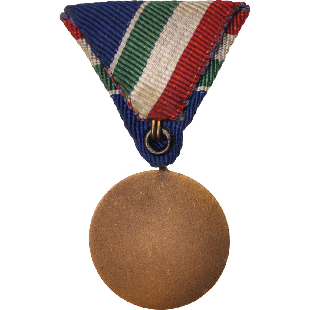 France, Protection against raw medal, Medal, Very Good Quality, Bronze, 33