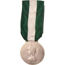 France, Médaille d'honneur communale, régionale et départementale, Medal, Non