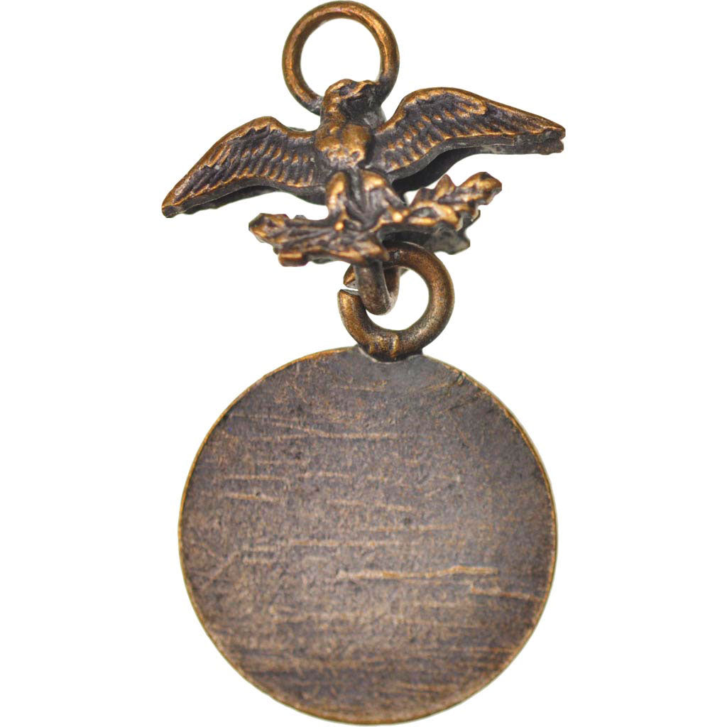 France, Napoléon Bonaparte, Medal, Medium Quality, Bronze, 14.2