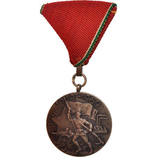 Hungary, Concil medal, Medal, 1969, Excellent Quality, Silver, 37.8