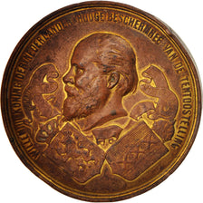 Niederlande, Medal, Amsterdam International colonial exhibition, History, 1883