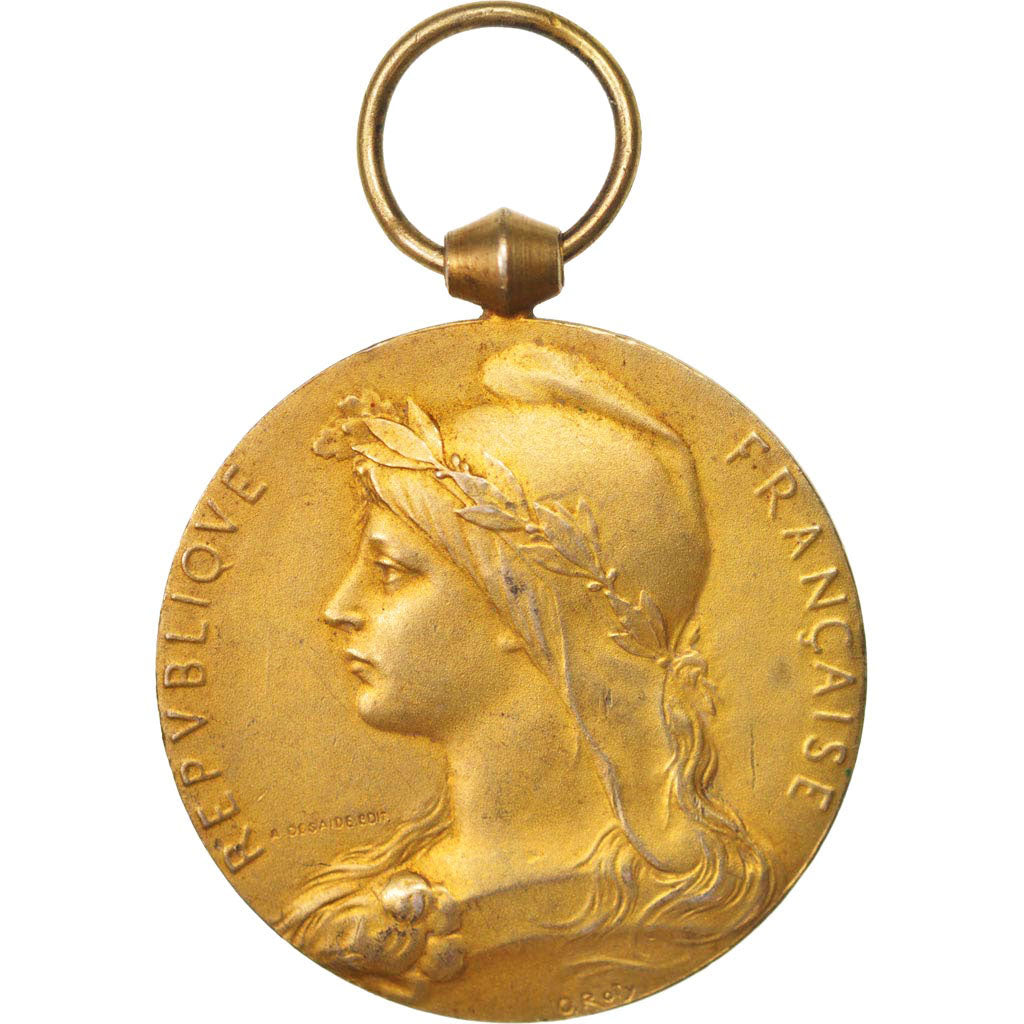 Francia, Ministère des travaux publics, chemins de fer, Medal, 1921, Very Good