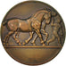 Frankreich, Medal, Prix du Conseil Général du Nord, Business & industry, XXth