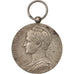 France, Médaille d'honneur du travail, Medal, Etat Moyen, Borrel, Argent, 30.6