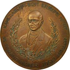 Germany, Medal, Reichenberg, Joseph Müller, History, XIXth Century, EF(40-45)