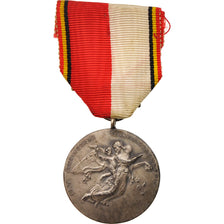 België, Veteran medal, Medal, XXth Century, Heel goede staat, Silvered bronze