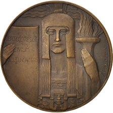 Belgium, Medal, Art deco medal, Politics, Society, War, XXth Century, Verbanck
