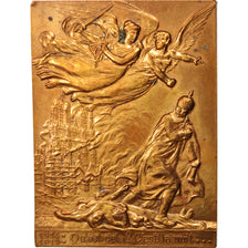 France, Medal, Dévastations de guerre, Victor Hugo, History, 1915, Chavalliaud