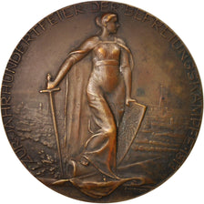 Autriche, Médaille, 100e anniversaire de la campagne napoléonienne, 1913, Bronze
