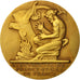 Frankreich, Medal, French Fifth Republic, Business & industry, Dropsy, VZ, Gilt
