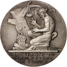 France, Medal, French Fifth Republic, Business & industry, Dropsy, AU(55-58)