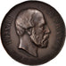France, Medal, Henri V, son décès et son inhumation, History, 1883, Wiener