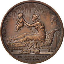 Francia, Medal, History, 1820, Gayrard, EBC, Bronce
