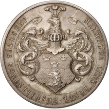 Germany, Medal, Landwirtschaftliche Preismedaille, Business & industry, XIXth