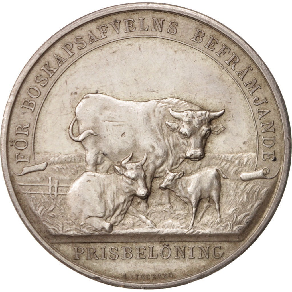Germany, Medal, Landwirtschaftliche Preismedaille, Business & industry, XIXth