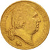 France, Louis XVIII, Louis XVIII, 20 Francs, 1824, Paris, EF(40-45), Gold