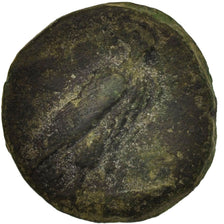 Munten, Sicilië, Onkia, 425-406 BC, Agrigente, ZG+, Bronze