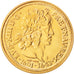 France, Medal, Les rois de France, Louis XIII, Louis XIII, History, 1992