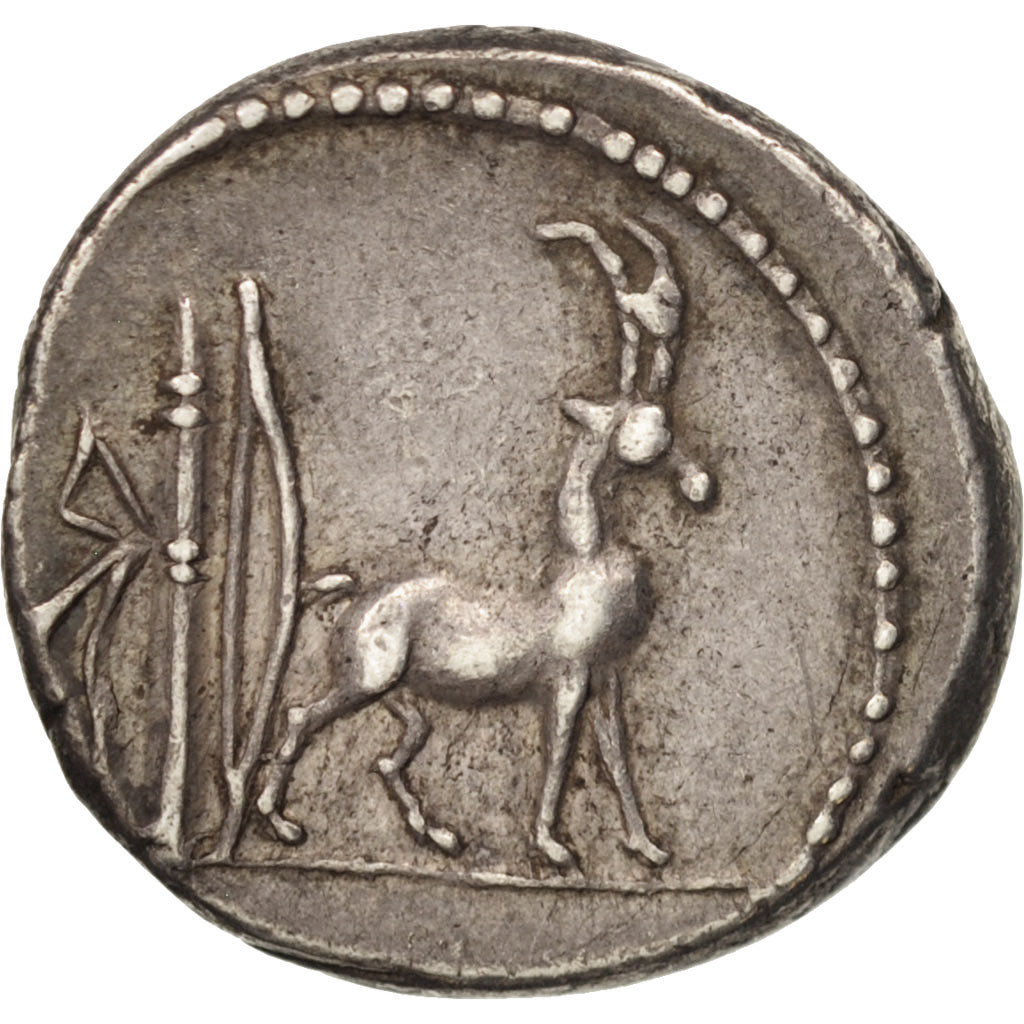 Denarius, Plancia, 55 BC, Roma, AU(50-53), Silver, Sear:5# 396