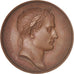 France, Medal, Napoléon Ier, Occupation d'Hambourg, History, 1806, Andrieu