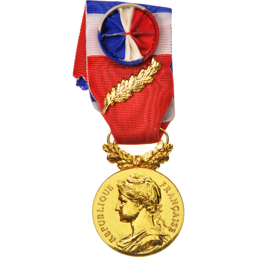 Frankrijk, Médaille d'honneur du travail, Business & industry, Medal, 2009