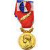 Frankreich, Médaille d'honneur du travail, Business & industry, Medal, 2009