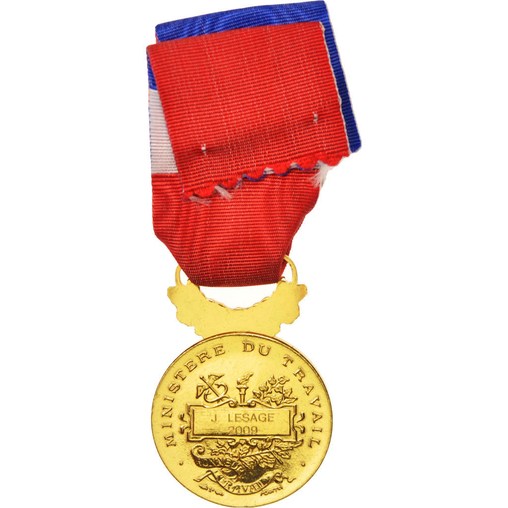 Frankrijk, Médaille d'honneur du travail, Business & industry, Medal, 2009