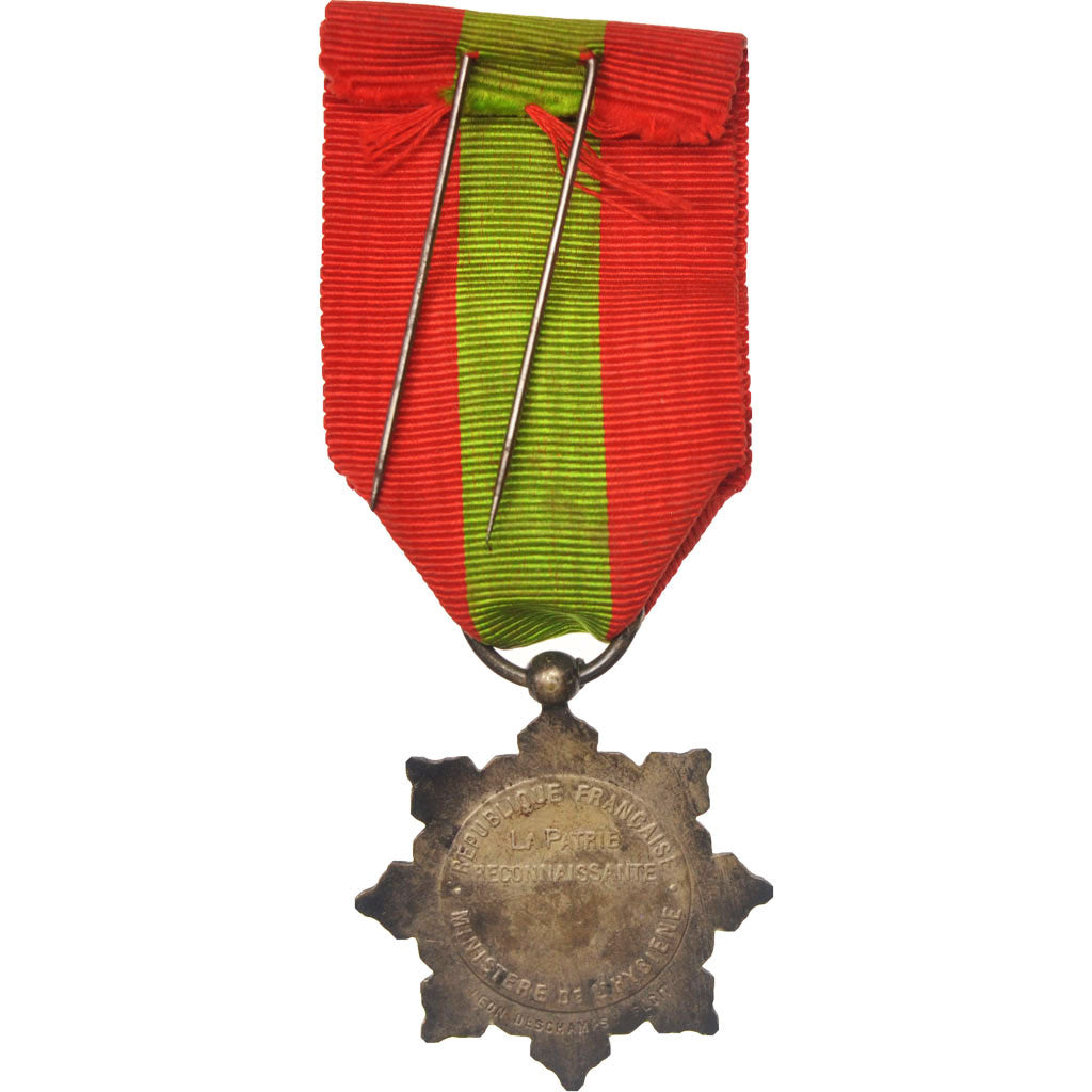 Médaille de la Famille Française, Politics, Society, War, Medal, Good Quality
