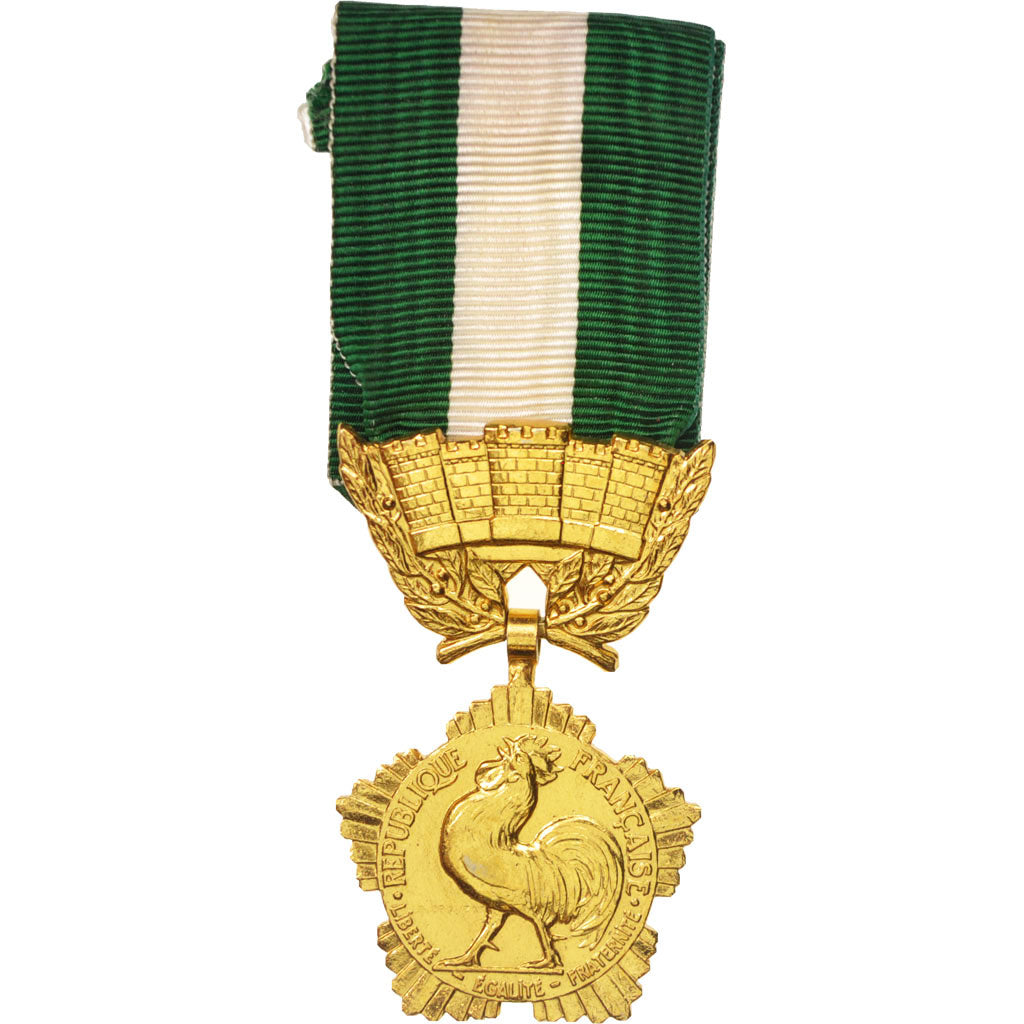 France, Collectivités locales, Politics, Society, War, Medal, 1990, Excellent