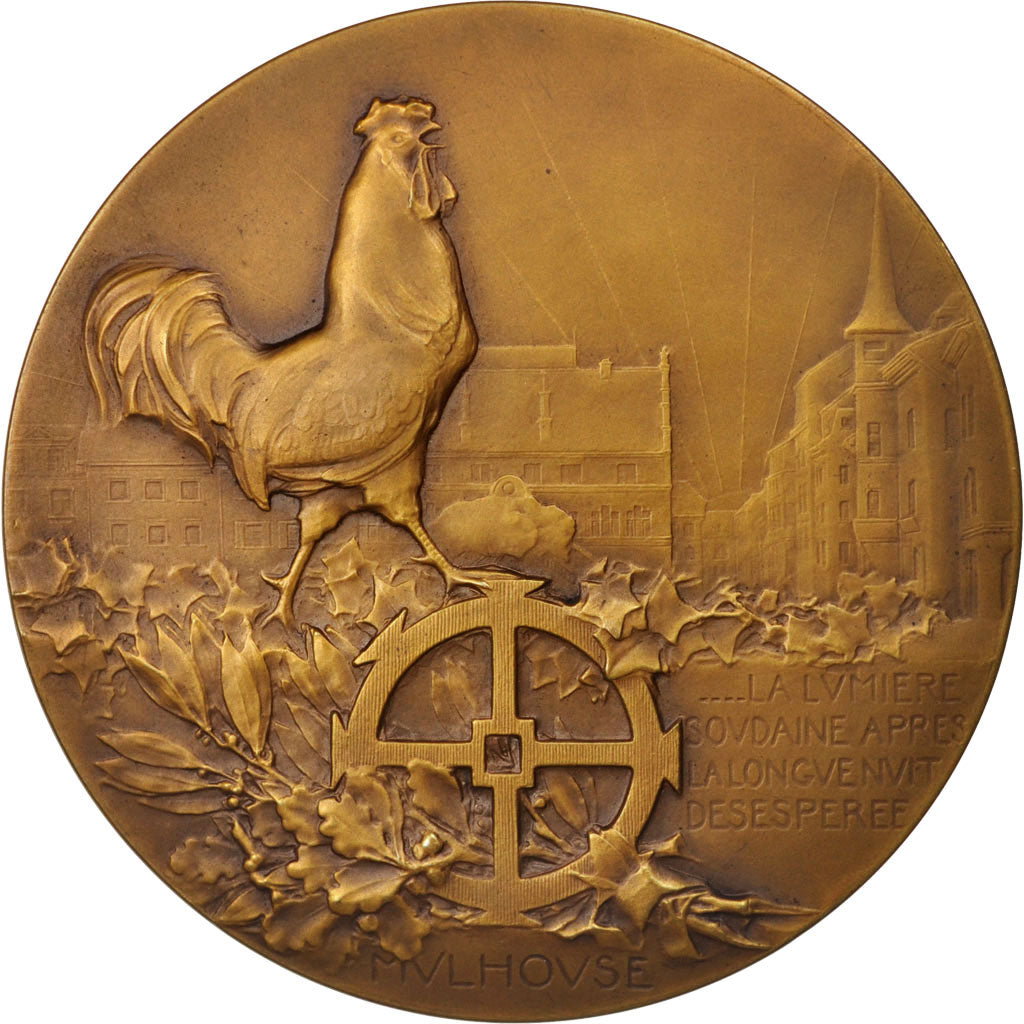 France, Medal, Alsace, Libération de Mulhouse, History, 1918, Dammann