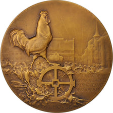 France, Medal, Alsace, Libération de Mulhouse, History, 1918, Dammann