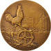 France, Medal, Alsace, Libération de Mulhouse, History, 1918, Dammann