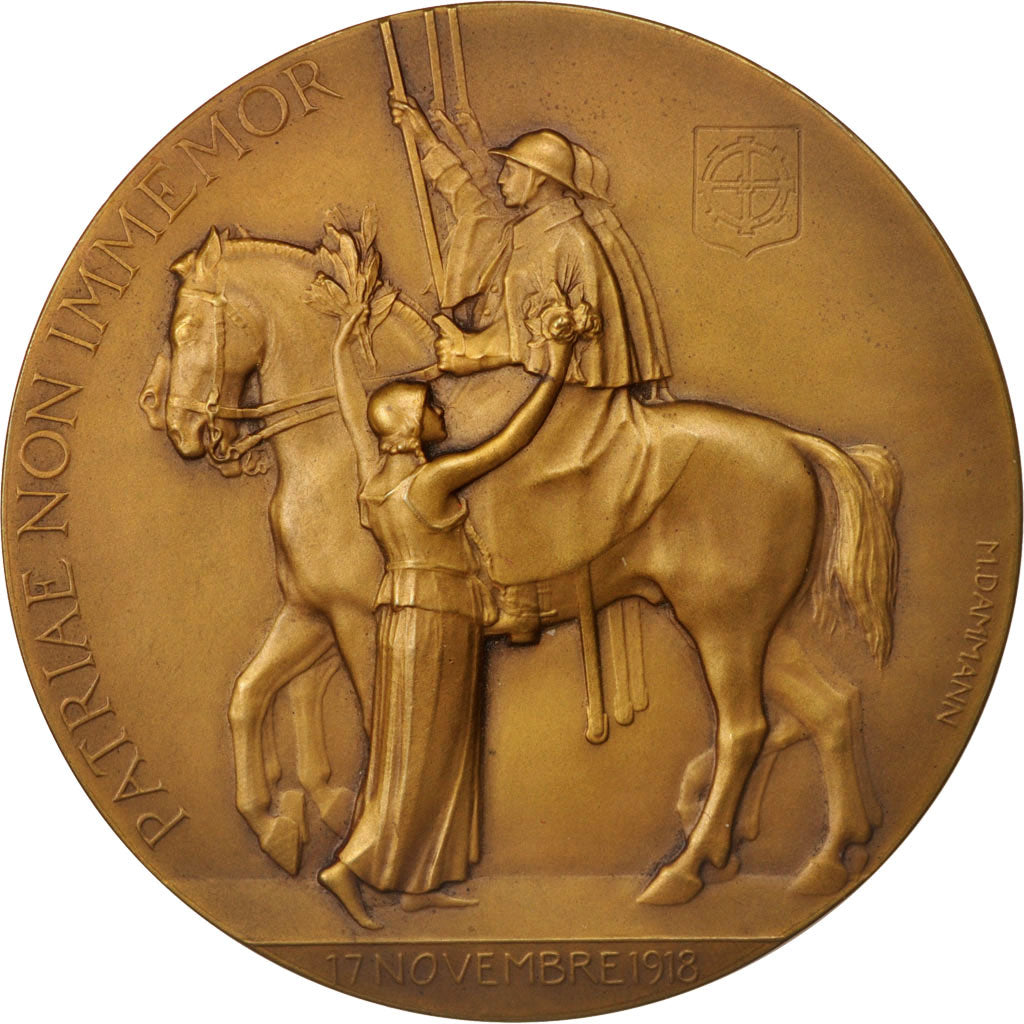 France, Medal, Alsace, Libération de Mulhouse, History, 1918, Dammann
