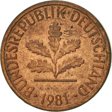 Coin, GERMANY - FEDERAL REPUBLIC, Pfennig, 1981, Stuttgart, AU(50-53), Copper