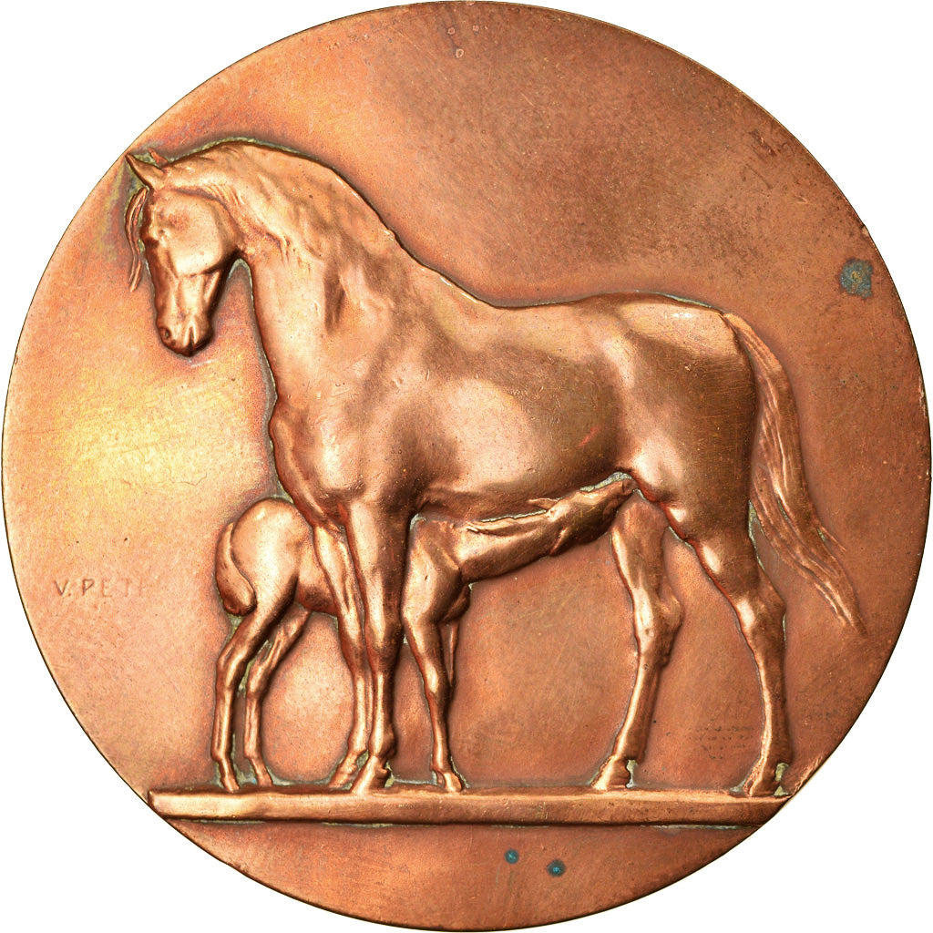 France, Medal, Cheval, Offert par H.F Buot, Député du Calvados, Politics