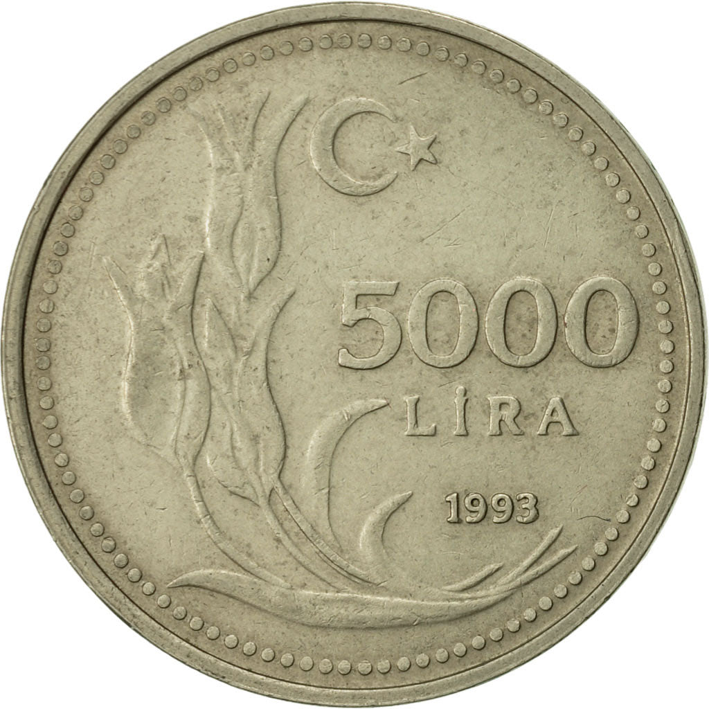 Coin, Turkey, 5000 Lira, 1993, AU(50-53), Nickel-Bronze, KM:1025