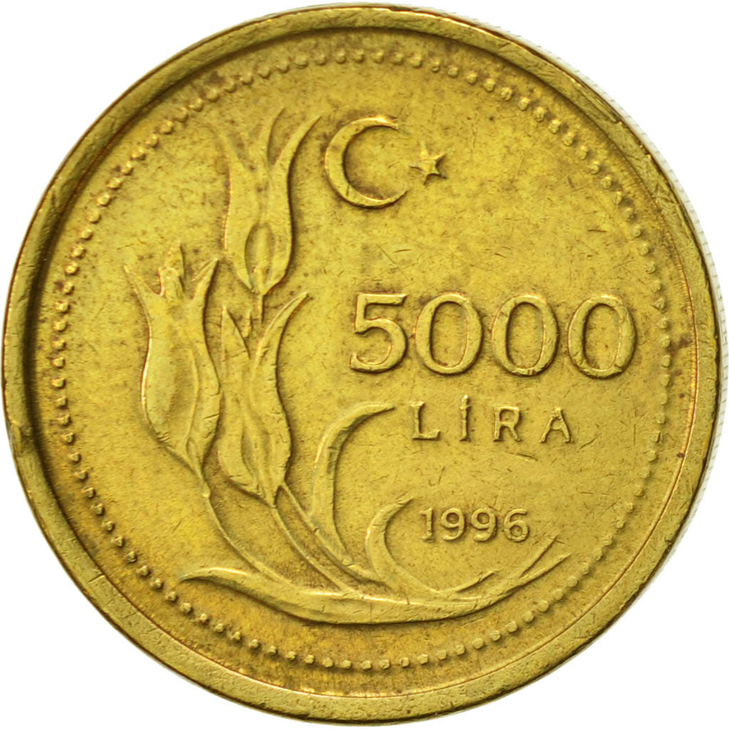Moneta, Turcja, 5000 Lira, 1996, EF(40-45), Mosiądz, KM:1029.1