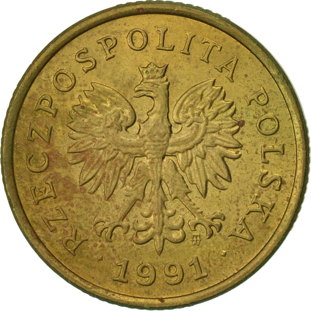Coin, Poland, 5 Groszy, 1991, Warsaw, EF(40-45), Brass, KM:278