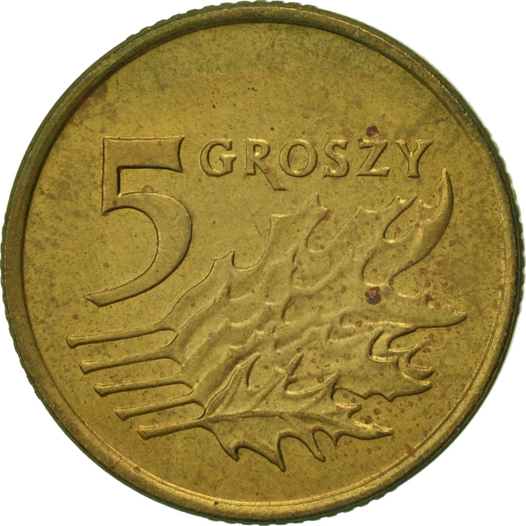 Coin, Poland, 5 Groszy, 1991, Warsaw, EF(40-45), Brass, KM:278