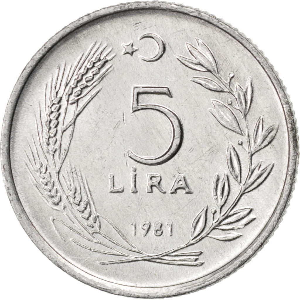 Coin, Turkey, 5 Lira, 1981, MS(63), Aluminum, KM:944