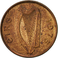 Munten, REPUBLIEK IERLAND, 1/2 Penny, 1975, ZF, Bronze, KM:19
