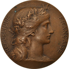 France, Medal, Agriculteurs de l'Oise, Concours de Noyon, 1910, Dupuis.D