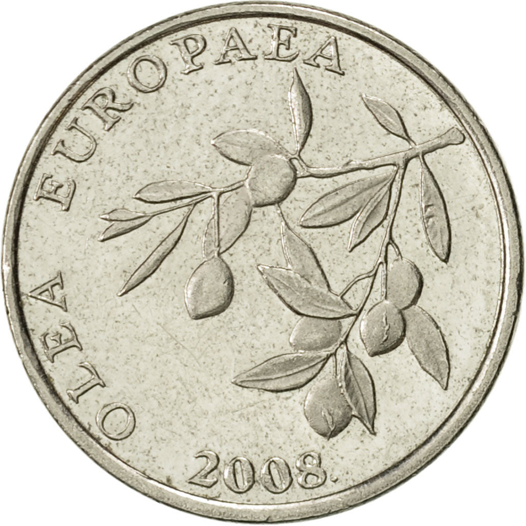 Monnaie, Croatie, 20 Lipa, 2008, SUP+, Nickel plated steel, KM:17
