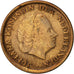 Coin, Netherlands, Juliana, Cent, 1954, EF(40-45), Bronze, KM:180