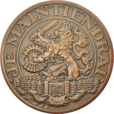 Niederlande, Medaille, Je maintiendrai, Steun-Penning, Politics, Society, War