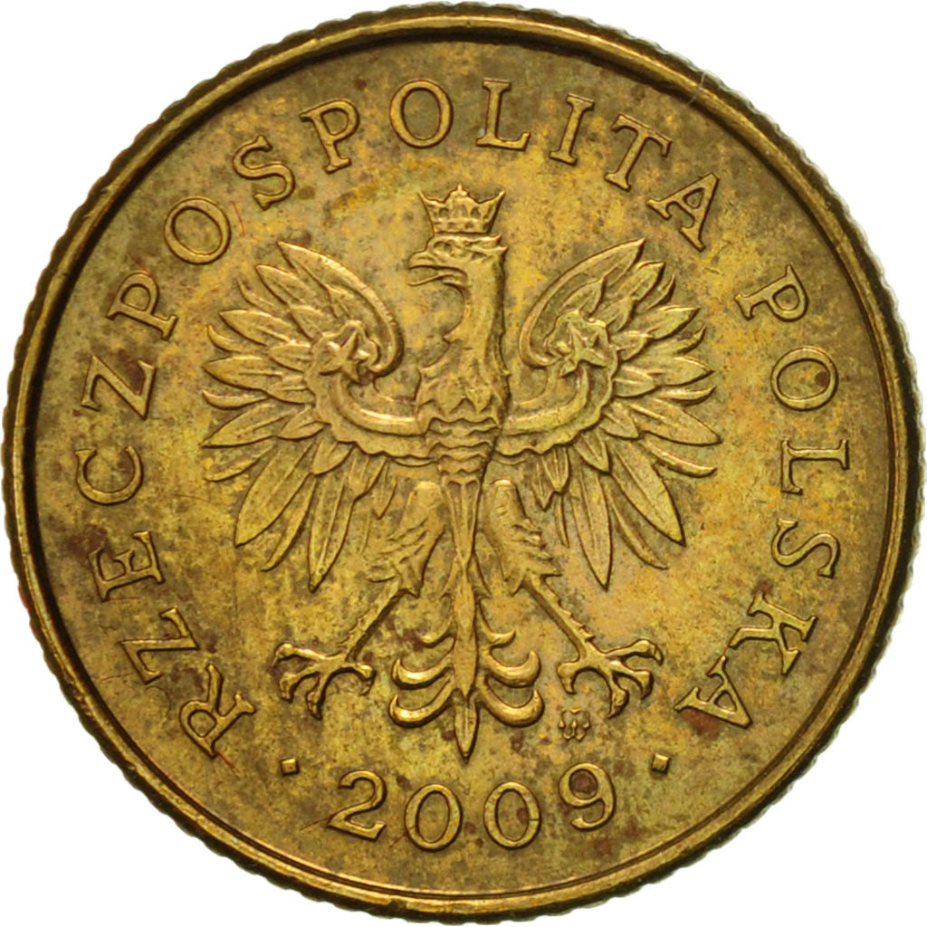 Coin, Poland, Grosz, 2009, Warsaw, AU(50-53), Brass, KM:276