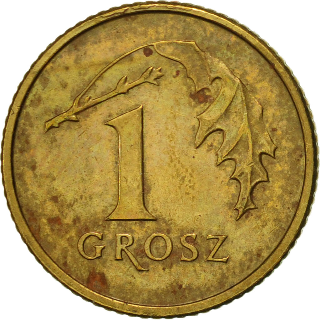 Coin, Poland, Grosz, 2009, Warsaw, AU(50-53), Brass, KM:276