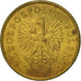 Coin, Poland, Grosz, 2004, Warsaw, EF(40-45), Brass, KM:276