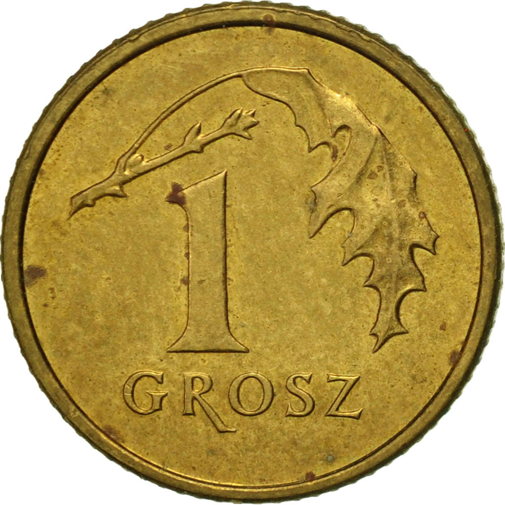 Coin, Poland, Grosz, 2004, Warsaw, EF(40-45), Brass, KM:276